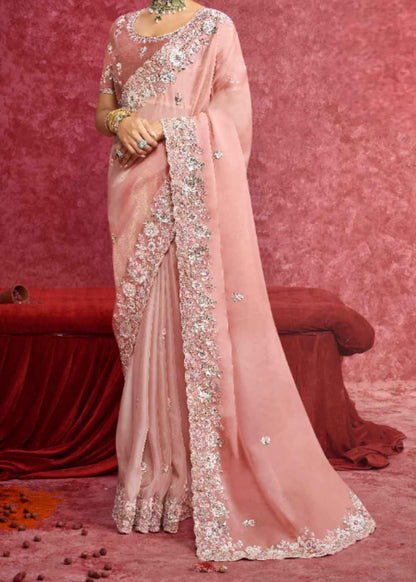Peach Blossom Charm (Casio Work Saree)