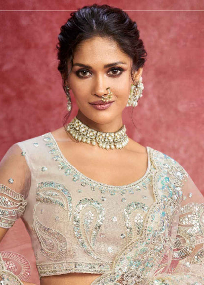 Off White Elegance (Nett Work Saree)